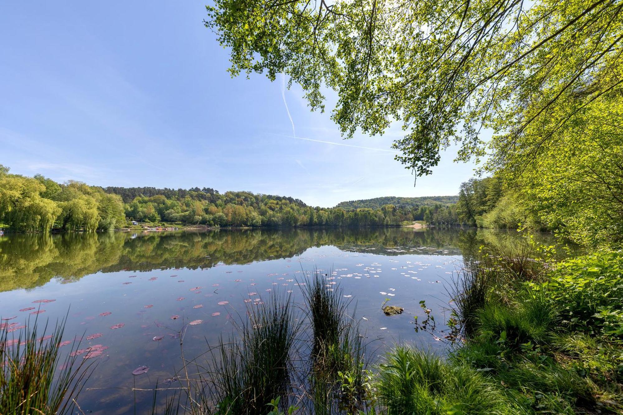 Ferienwohnung, 60Qm Frielendorf Bagian luar foto